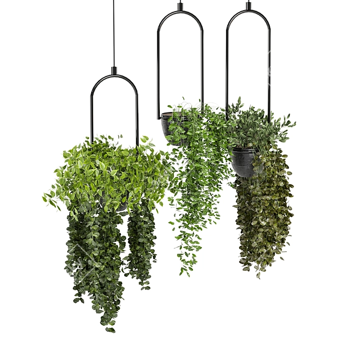 Lush Indoor Hanging Plant Set 3D model image 4