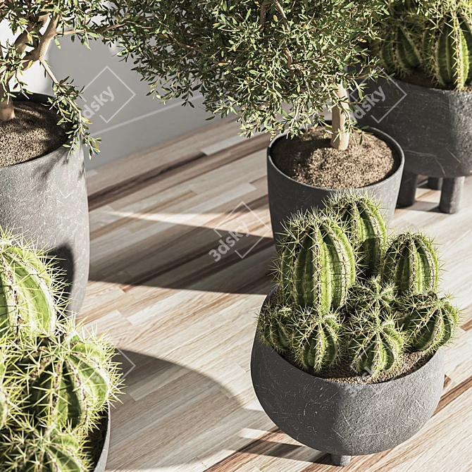 Indoor Greenery Hub 3D model image 2