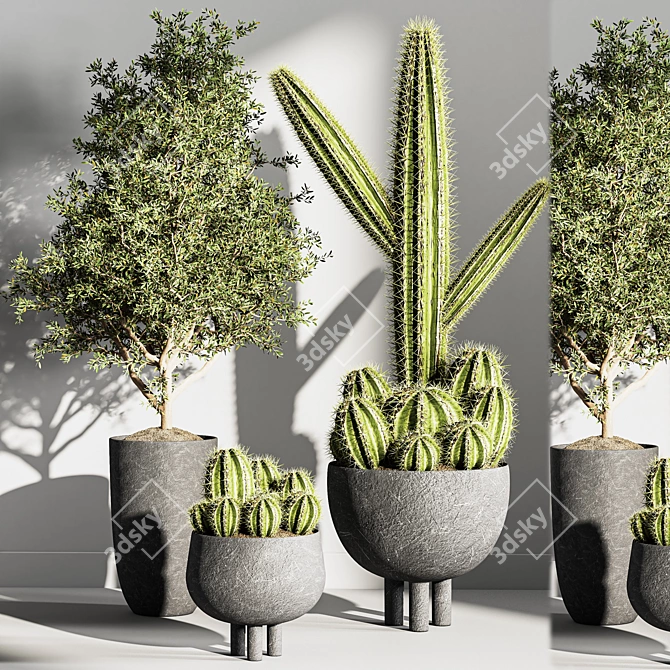 Indoor Greenery Hub 3D model image 4