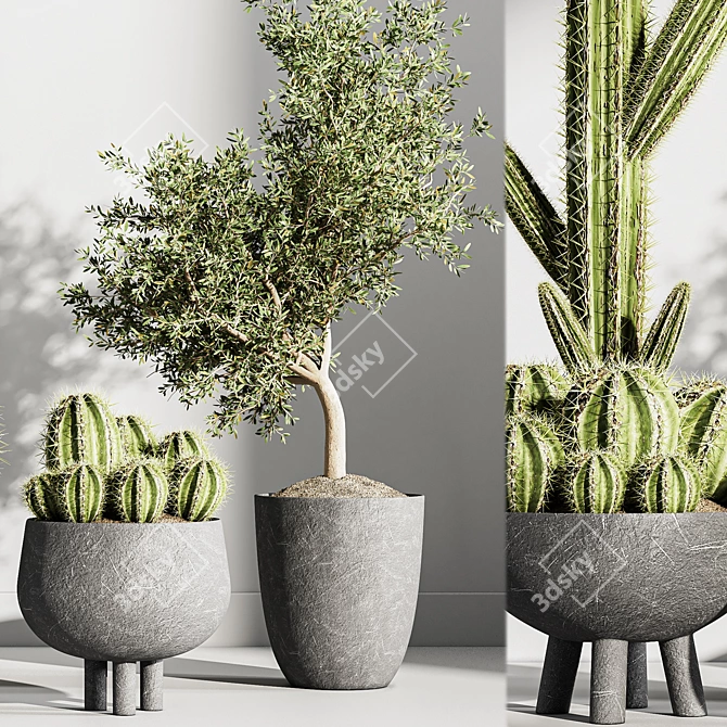 Indoor Greenery Hub 3D model image 5