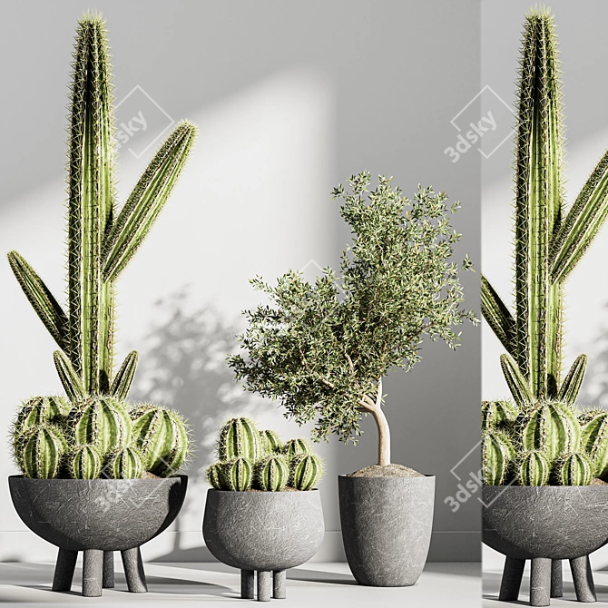 Indoor Greenery Hub 3D model image 6