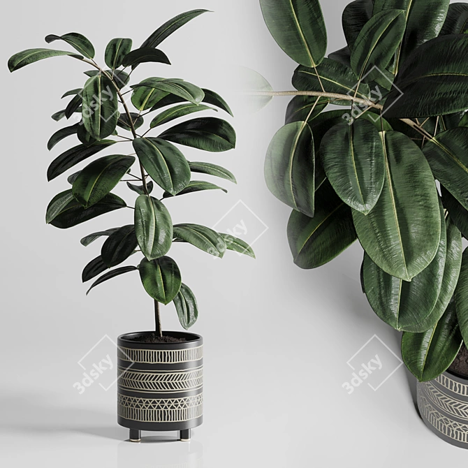 Ficus Rubber Plant in Handmade Pottery Vase 3D model image 1