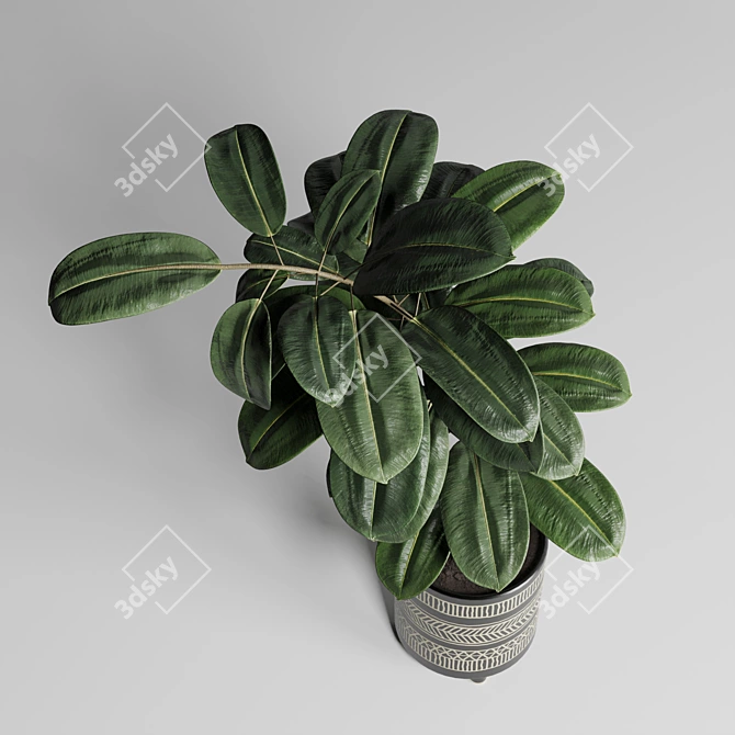 Ficus Rubber Plant in Handmade Pottery Vase 3D model image 2