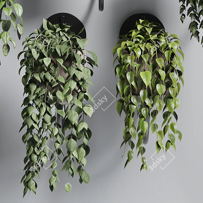 180 Concrete Wall Vase for Indoor Plants 3D model image 4