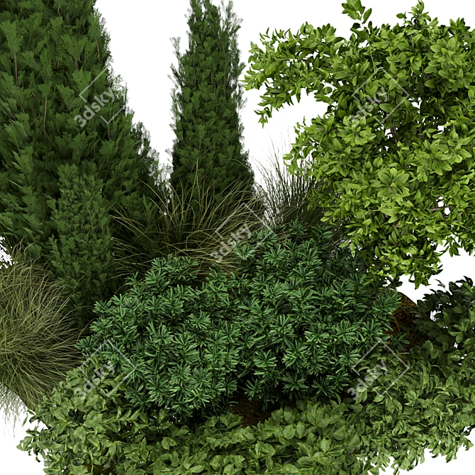 305 Outdoor Plant Collection: Trees, Grass, Bush 3D model image 4