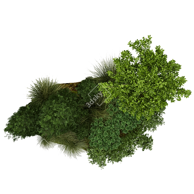 305 Outdoor Plant Collection: Trees, Grass, Bush 3D model image 6