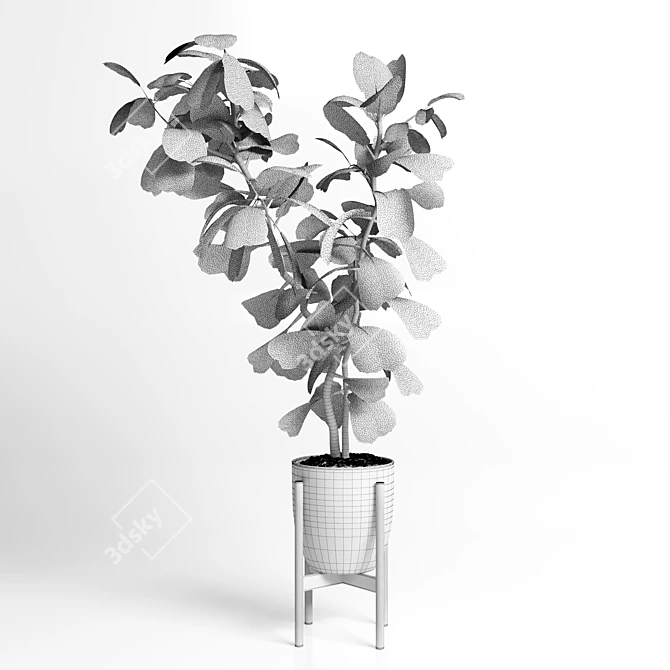 Ficus Lyrata Metal Dirt Vase 3D model image 3