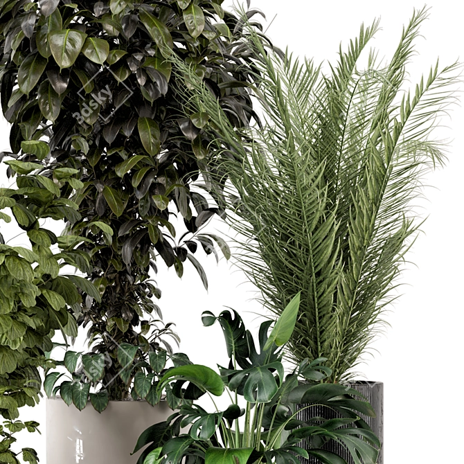 Rustic Concrete Pot Indoor Plants 3D model image 2