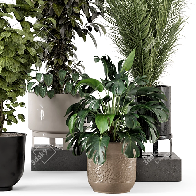 Rustic Concrete Pot Indoor Plants 3D model image 4