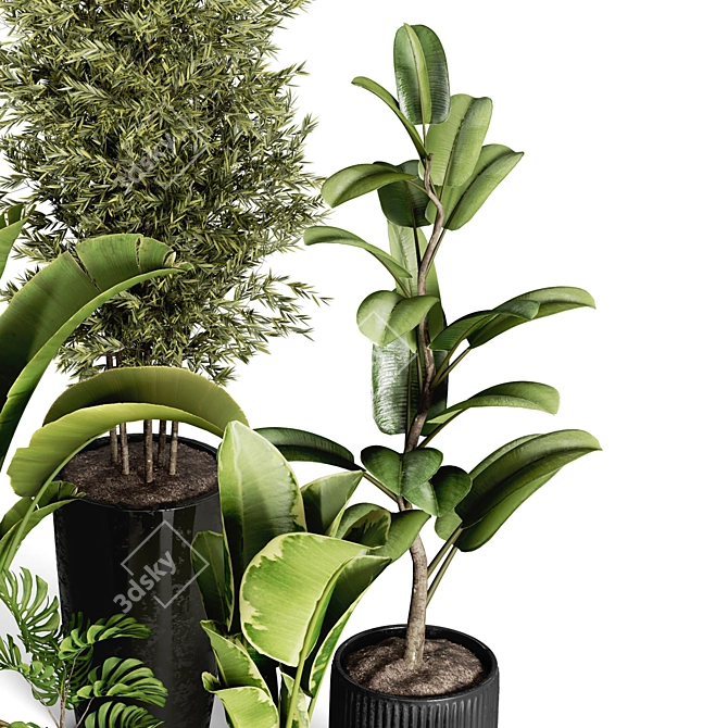 Indoor Plant Collection - 40 Varieties 3D model image 3