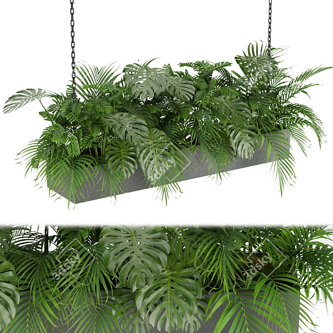 Indoor Jungle: Monstera & Palm Collection 3D model image 1