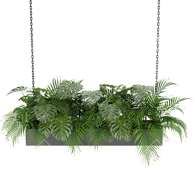 Indoor Jungle: Monstera & Palm Collection 3D model image 2