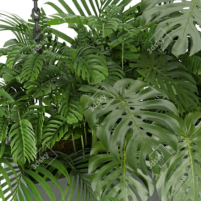 Indoor Jungle: Monstera & Palm Collection 3D model image 3