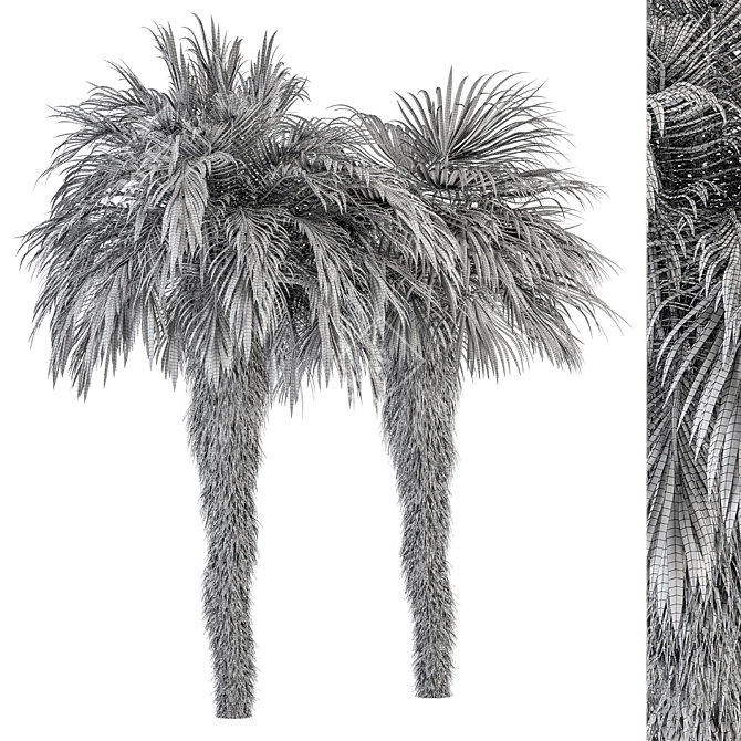Palm Date Tree Set - Fluffy Bark 3D model image 5