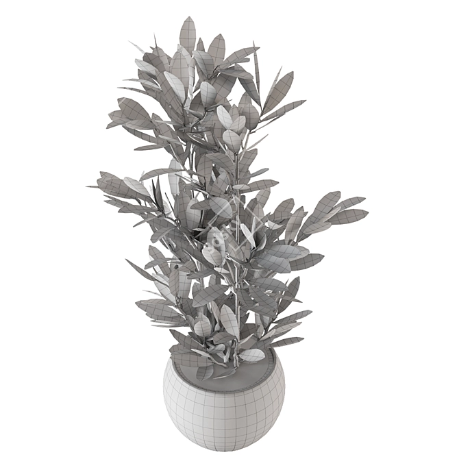 Tropical Oasis Indoor Plants Set 3D model image 5