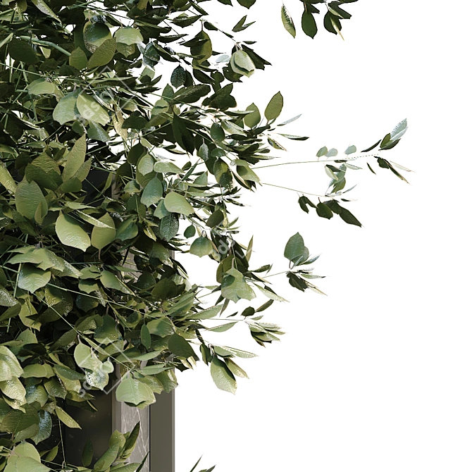 GreeneryBox: Interior Plant Set 3D model image 5