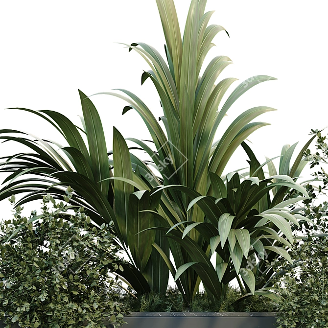 GreeneryBox: Interior Plant Set 3D model image 6