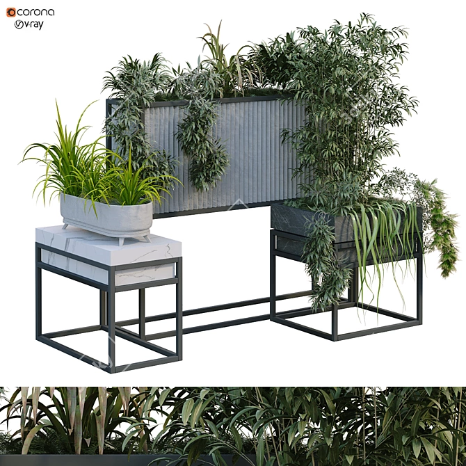 Elevate your space with Boxed Interior Plant Set 3D model image 1