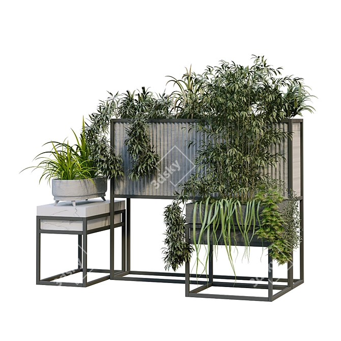 Elevate your space with Boxed Interior Plant Set 3D model image 2