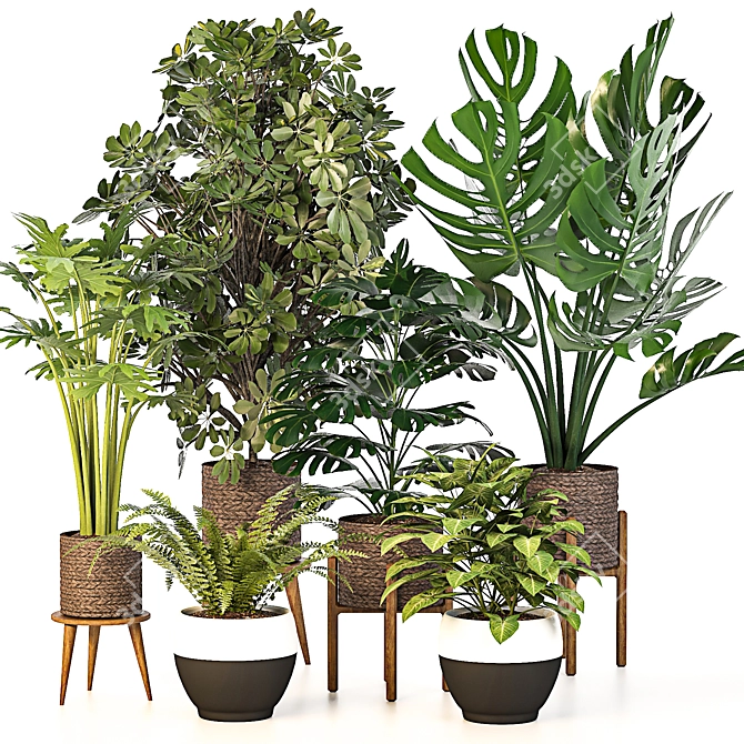 Green Haven Indoor Plant Set 3D model image 1