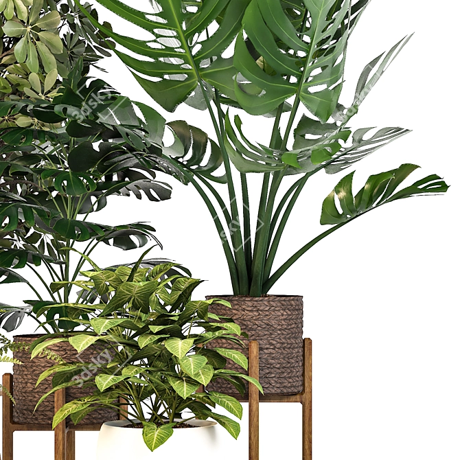 Green Haven Indoor Plant Set 3D model image 2