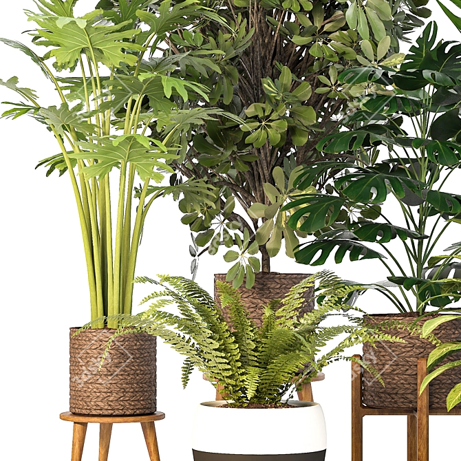 Green Haven Indoor Plant Set 3D model image 3