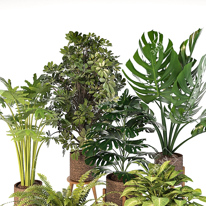 Green Haven Indoor Plant Set 3D model image 4