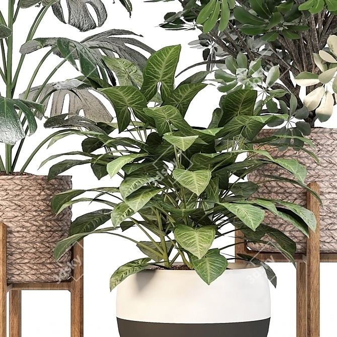 Green Haven Indoor Plant Set 3D model image 8