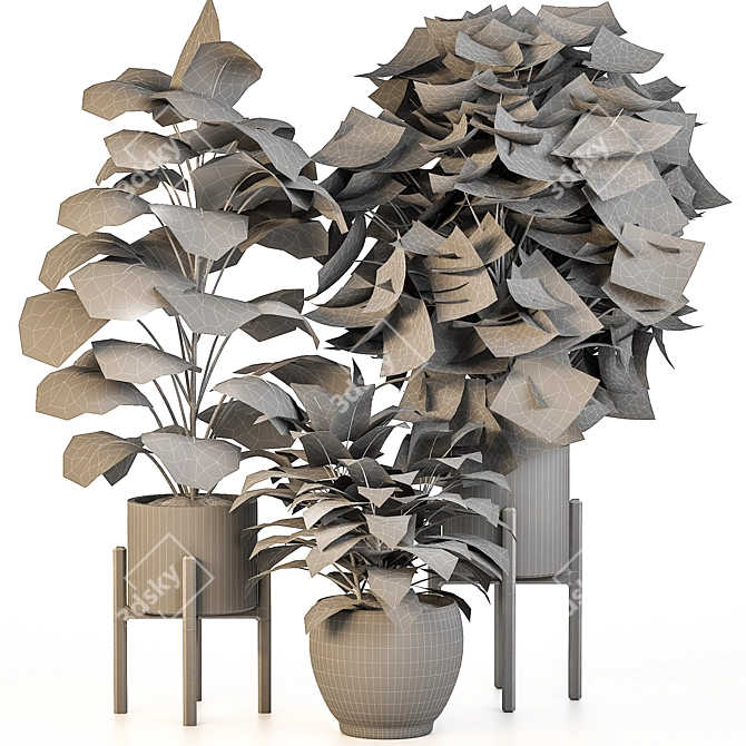 Green Haven Indoor Plant Set 3D model image 9