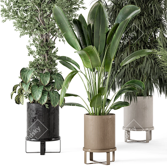  Greenery in Stylish Bau Pot 3D model image 4