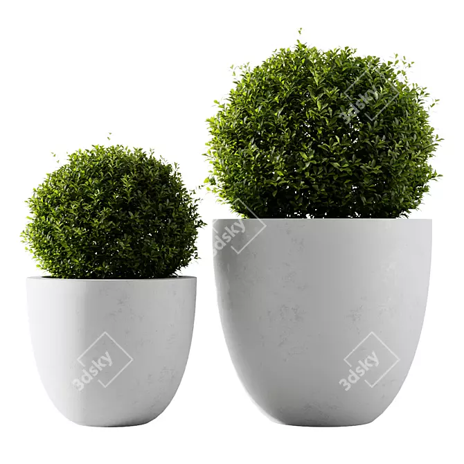  Vibrant Indoor Plants Collection 3D model image 2