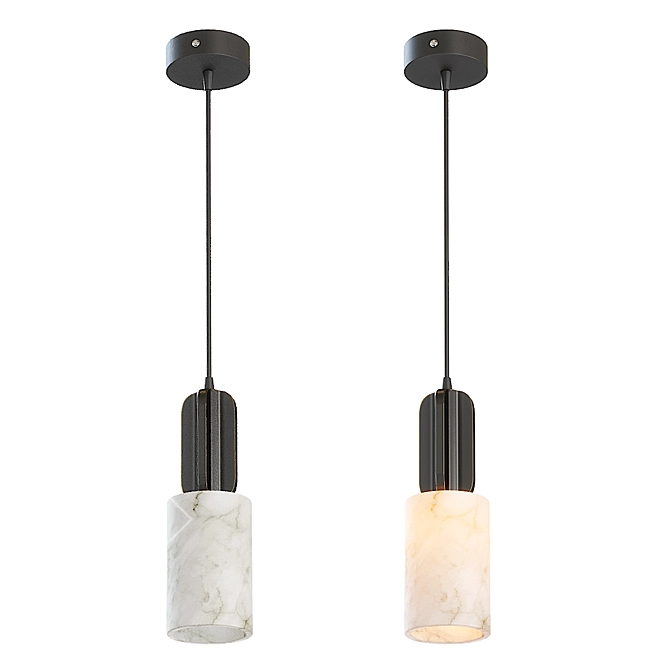 Elegant VIAL Pendant Lamp 3D model image 3