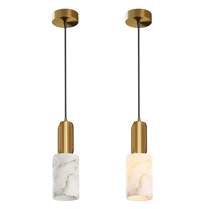 Elegant VIAL Pendant Lamp 3D model image 4