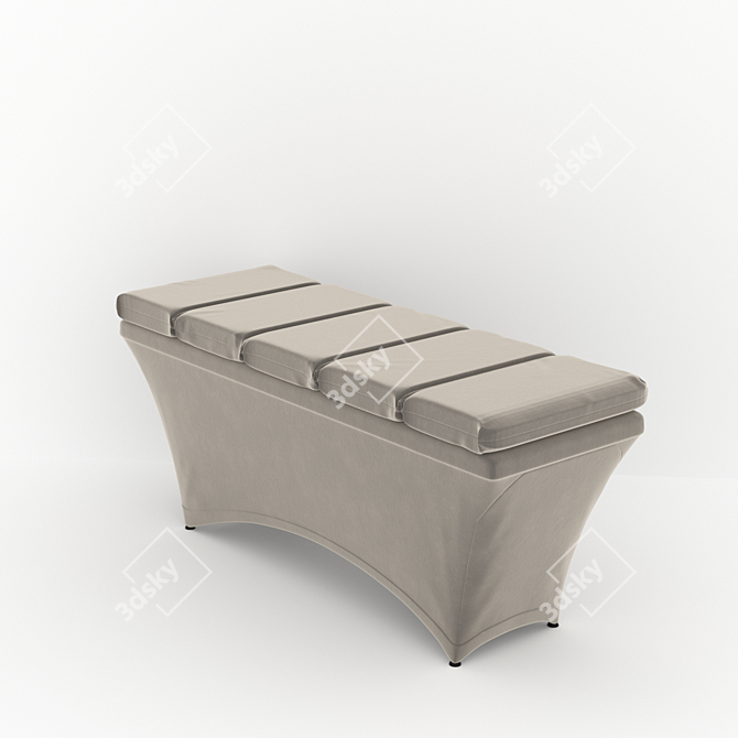 BeautyPro Mattress & Chair 3D model image 1