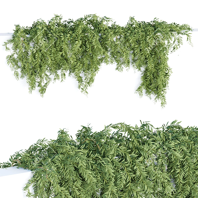 Botanical Bliss: Hanging Wall Plants 3D model image 2