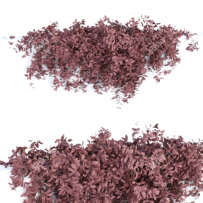 Botanical Bliss: Hanging Wall Plants 3D model image 4