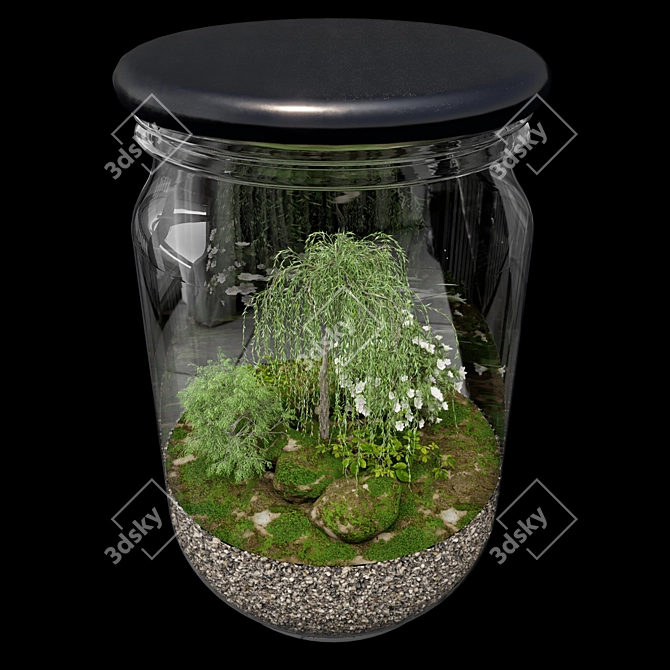 Exquisite Terrarium Plant Collection 3D model image 3