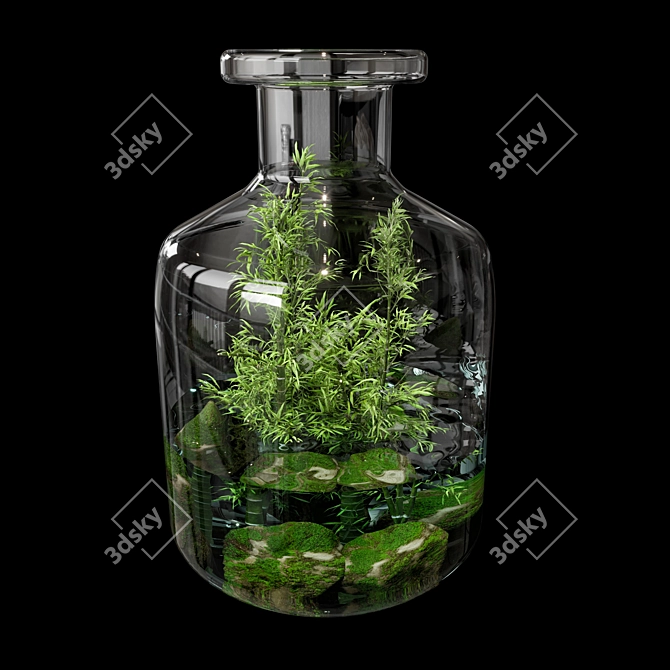 Natural Greenery Terrarium Set 3D model image 1