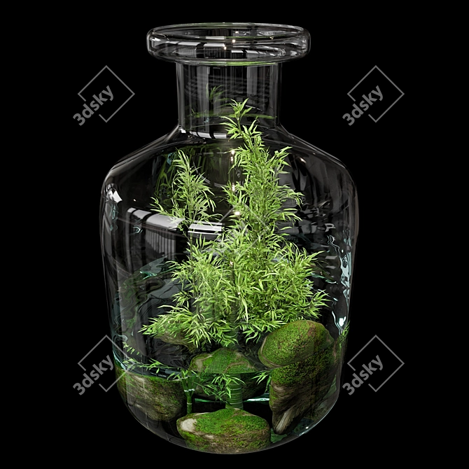 Natural Greenery Terrarium Set 3D model image 3