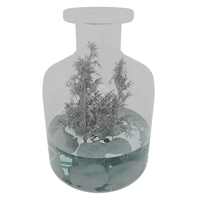 Natural Greenery Terrarium Set 3D model image 4