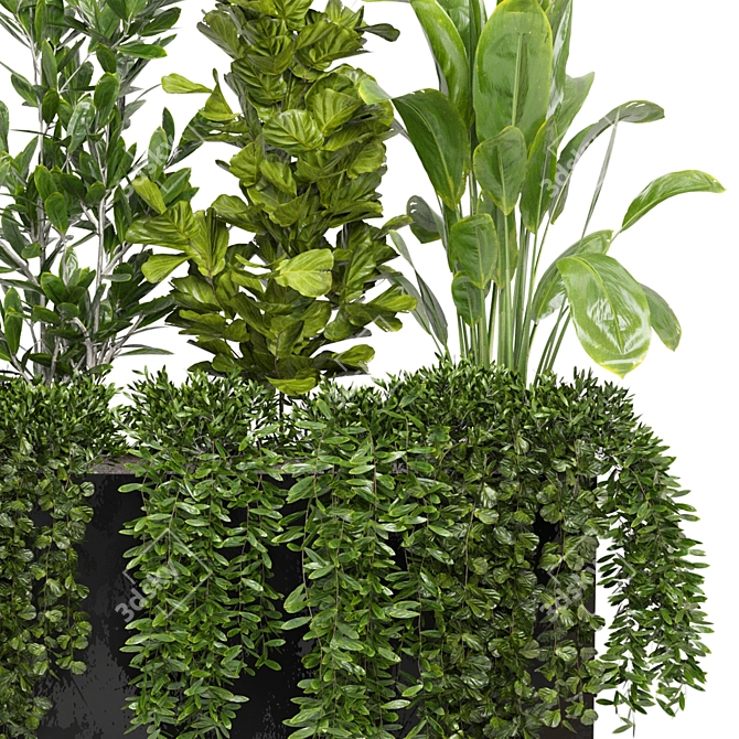 Indoor Greenery - Set 226 3D model image 3