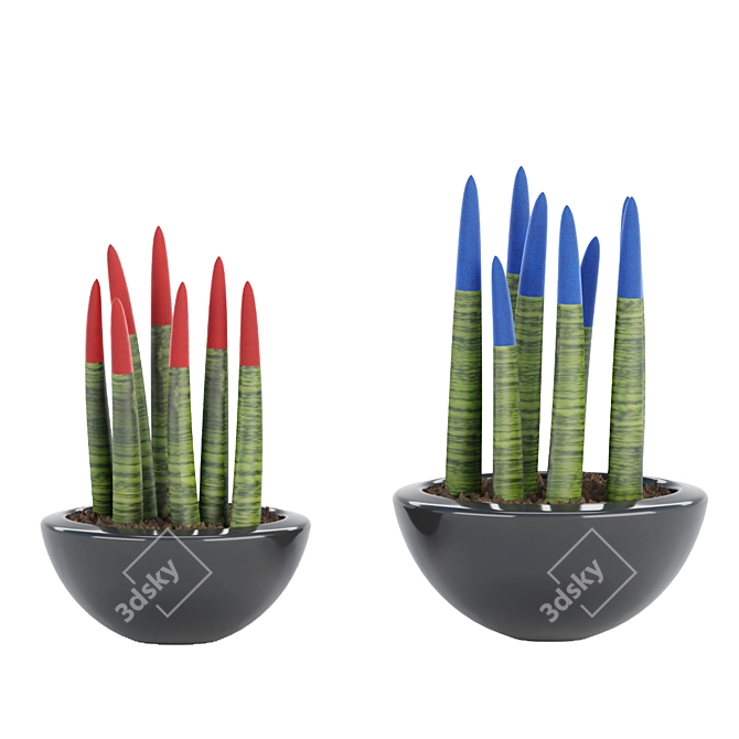 70 Sansevieria Plants Collection: High-Quality 3D Models! 3D model image 3