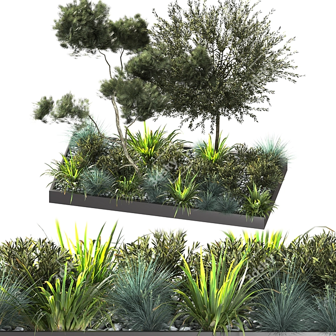 Outdoor Plant 09: VRAY Version 3D model image 1