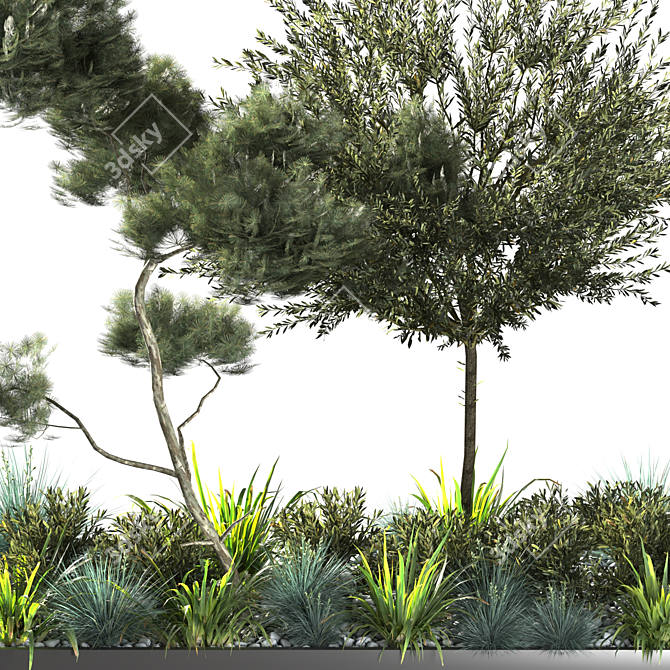 Outdoor Plant 09: VRAY Version 3D model image 3