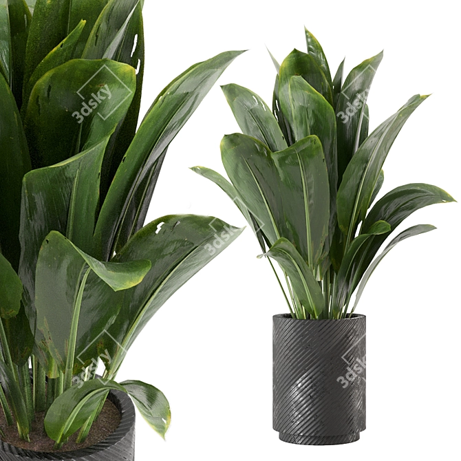 Decorative Indoor Plants Set 227 3D model image 1