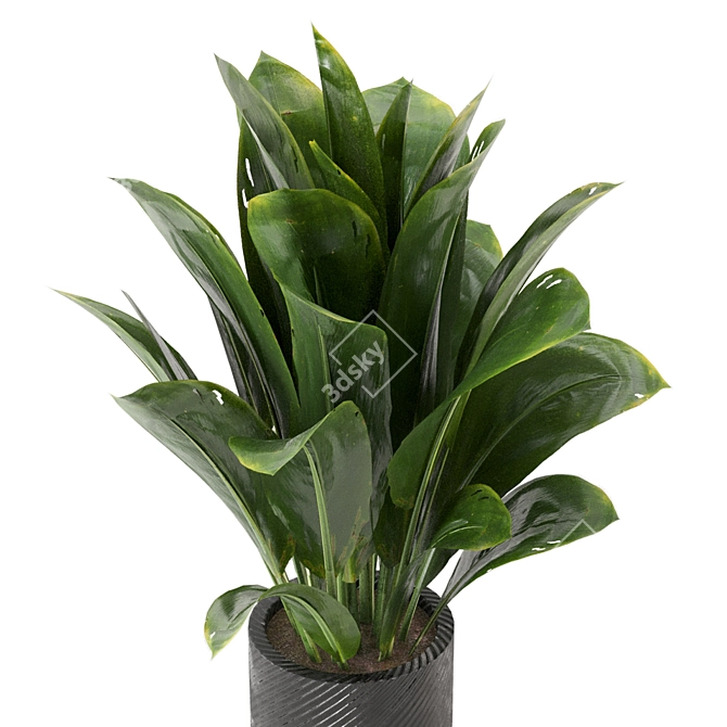 Decorative Indoor Plants Set 227 3D model image 2