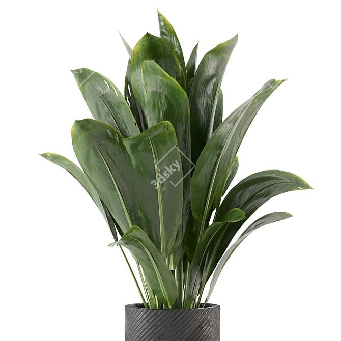Decorative Indoor Plants Set 227 3D model image 3