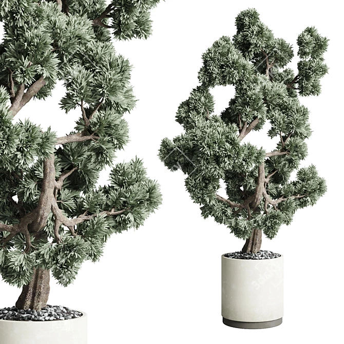 Artificial Bonsai Tree 3D Model 3D model image 1