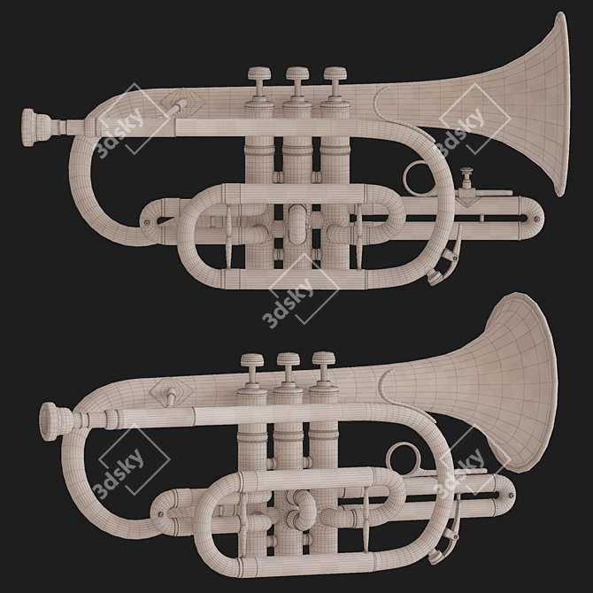 Gilded Subrano Brass Instrument 3D model image 2