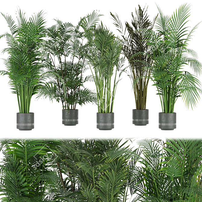 Indoor Palm Leaf - Collection Plant Vol 307 3D model image 1